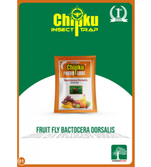 Chipku Pheromone Fruit Fly Liquid Lure 25 ml, For Agriculture, Packaging  Type: Box