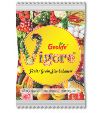 Geolife Vigore - Fruit Size Enhancer 10 grams