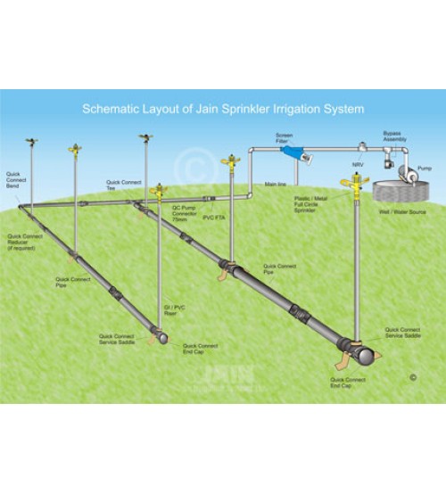 Draw a labelled diagram of the drip irrigation system.