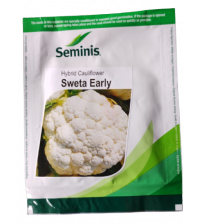 Cauliflower Sweta Early 10 grams