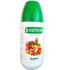 AMINOR - Amino Acid 1000 ml